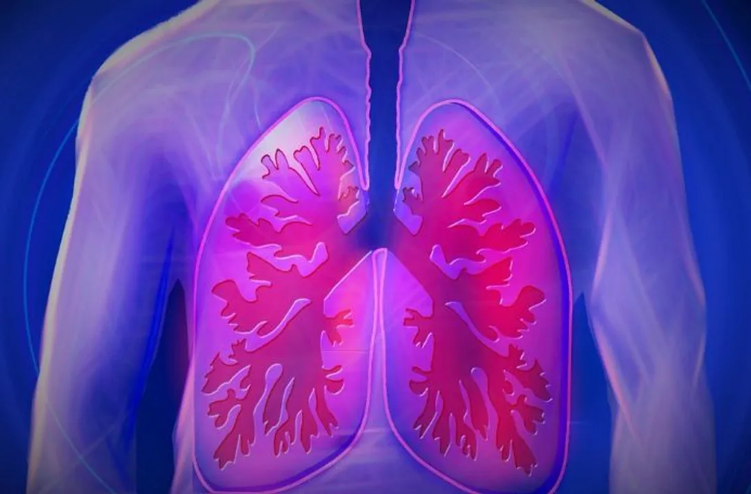  National Organ Donation Day 2021: Know Why it is Observed on Nov 27