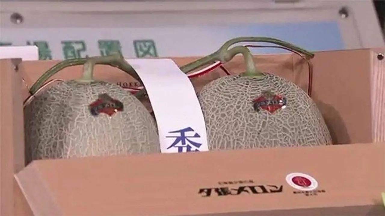  Two coveted Yubari melons auctioned for almost $25,000. 