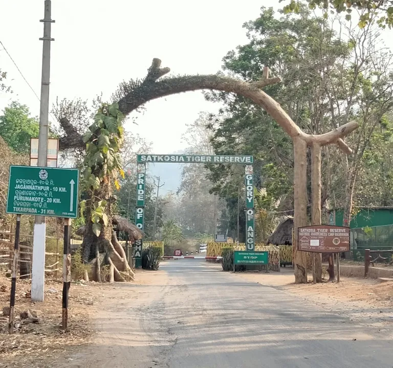 10 Forest personnel of Satakosia sanctuary test Covid positive