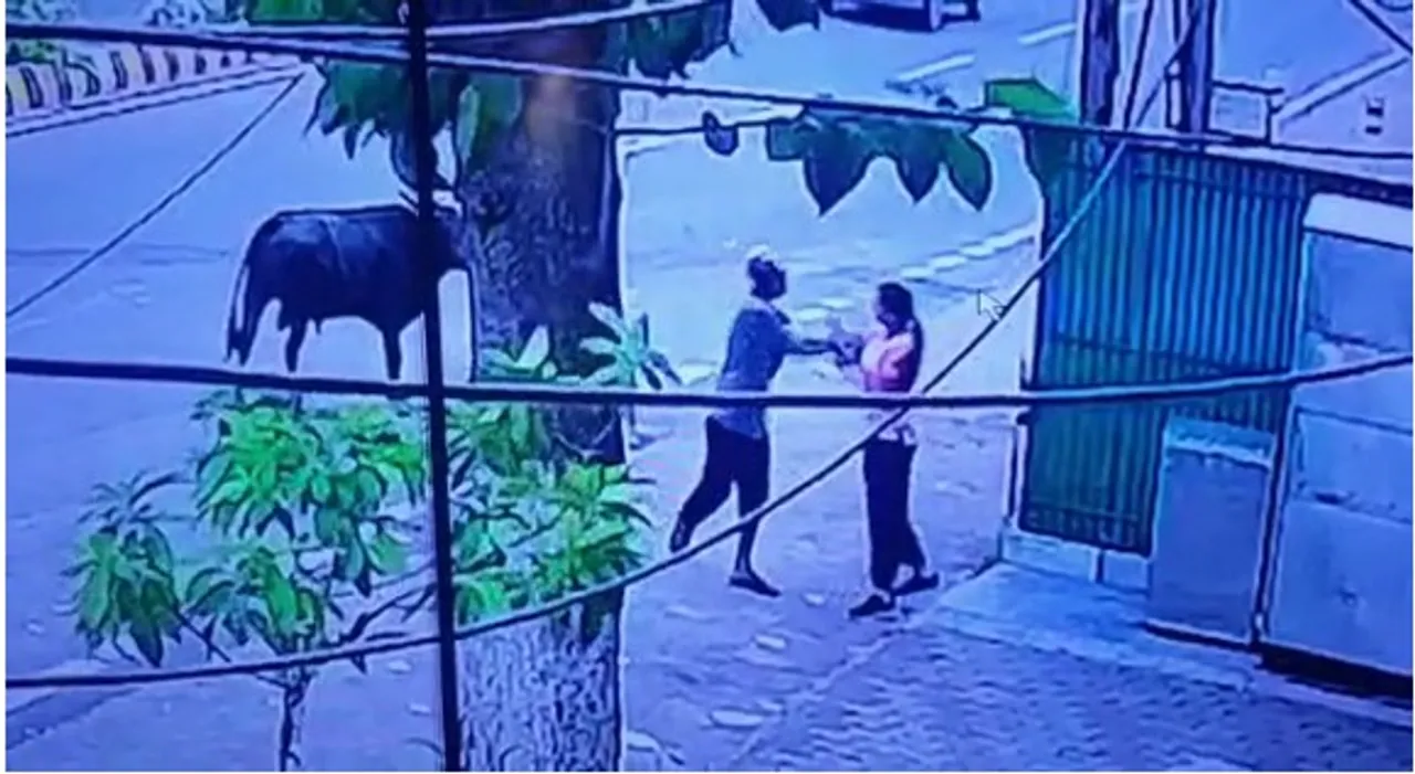  Caught on camera: Miscreant attacks young woman with knife in Odisha capital