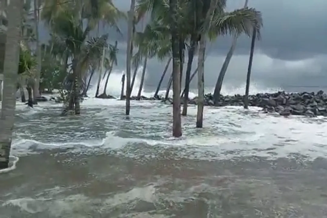  Jawad: Cyclonic Storm forms over BoB; to hit Odisha's Puri coast by Dec 5