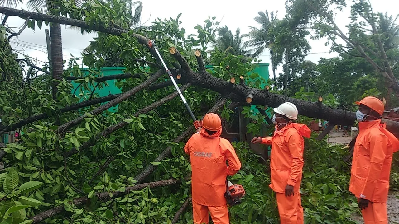  YAAS: Evacuated families, officials on restoration duty under surveillance in Odisha for COVID symptoms