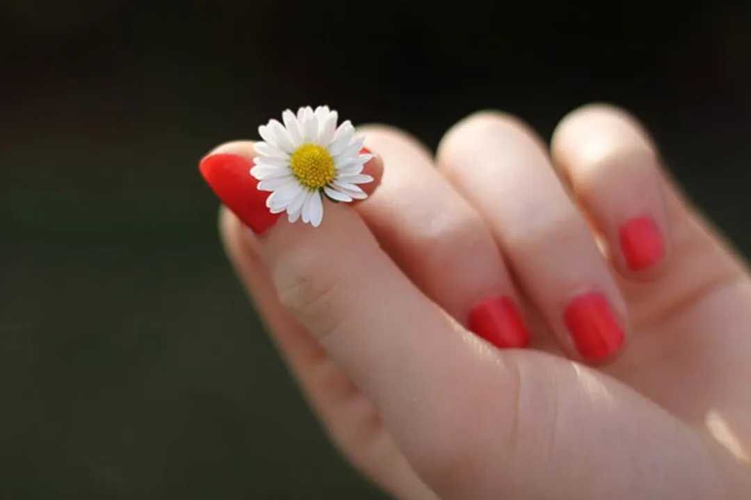  Fingernail hygiene important to stop infection spread