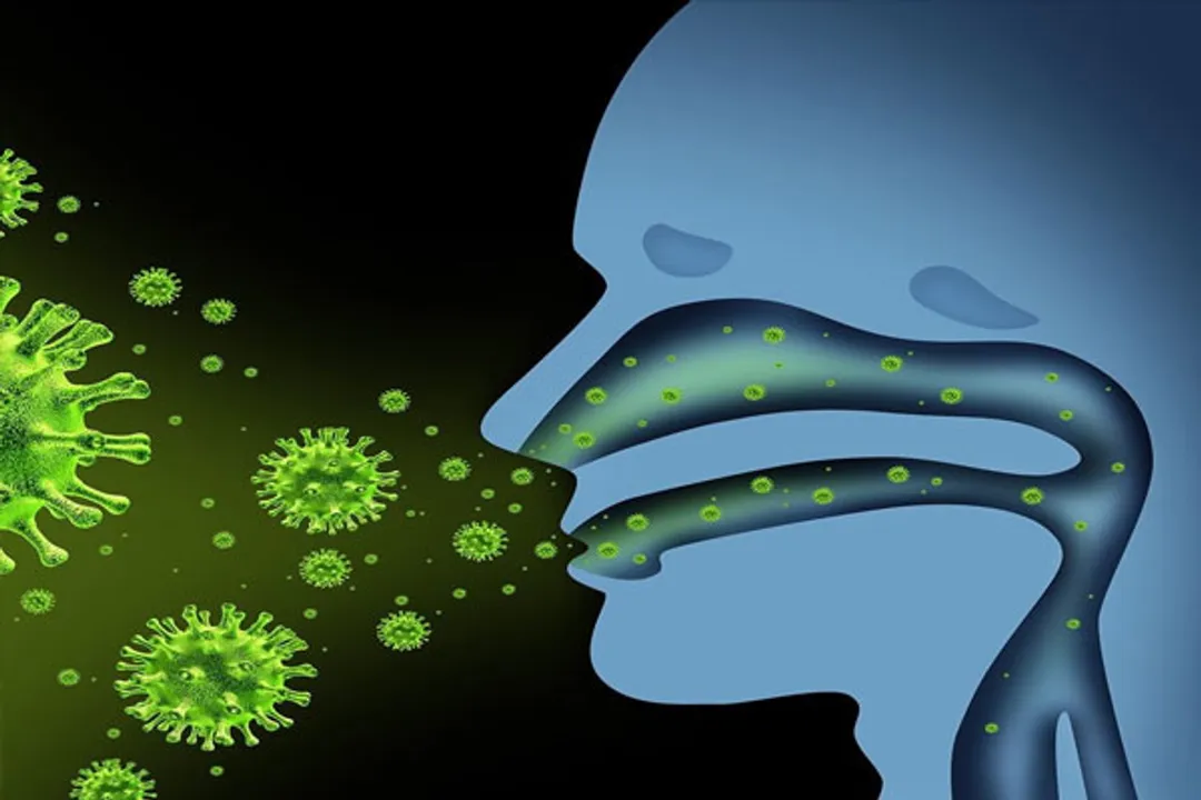  How does our body cope with stress of viral infections?