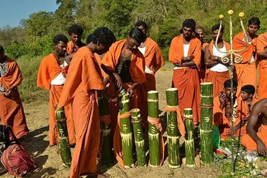  Doc dances to woo Kerala tribal's to take Covid vax.(credit:Kerala Govt) 