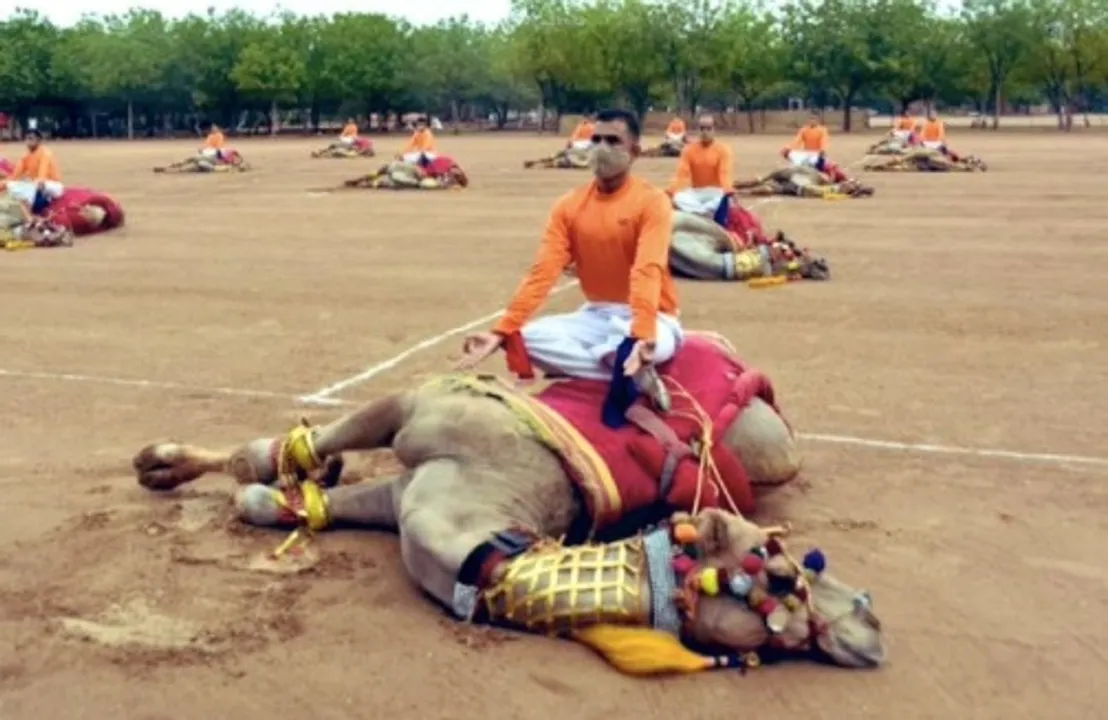  BSF' Yoga on camels' back draws public ire on social media. 