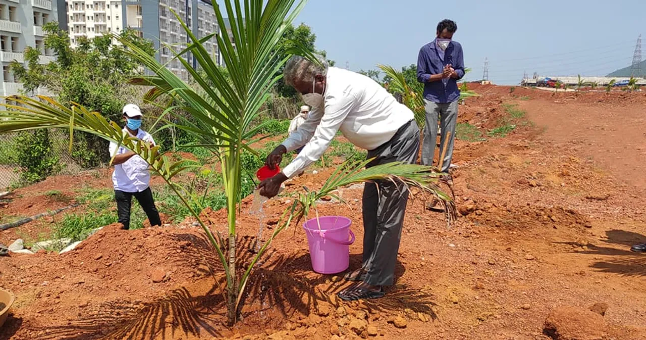  Plantation Drive organized at IIT Bhubaneswar on World Environment Day