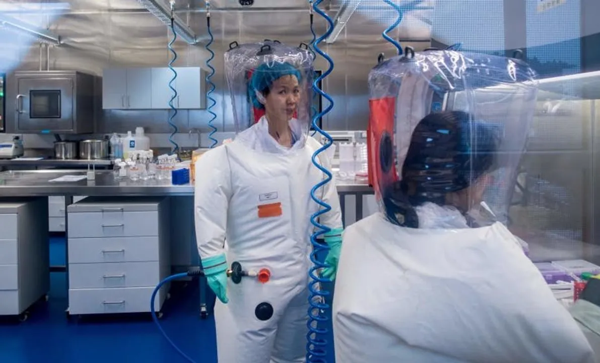  Covid-19: Was China's 'Bat Woman' paid $600,000 by US for coronavirus work?