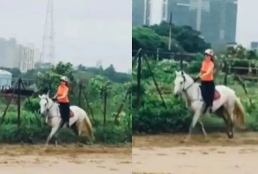  Watch: Actress Kangana Ranaut goes horseback riding
