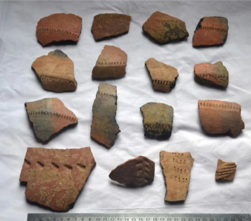  Articles of Chalcolithic, Iron and Early Historic periods unearthed in Odisha village