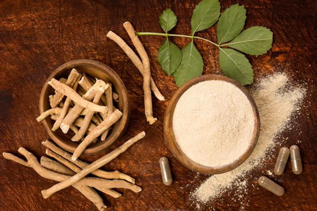  Does 'Ashwagandha' hold key to Covid-19 recovery? India-UK begin study
