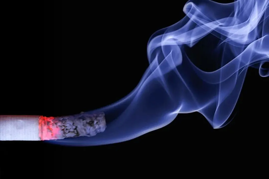  Women whose grandfathers began smoking before puberty have more body fat