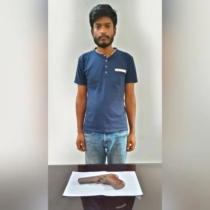  Odisha woman tips off cops about husband's illegal possession of firearms; held
