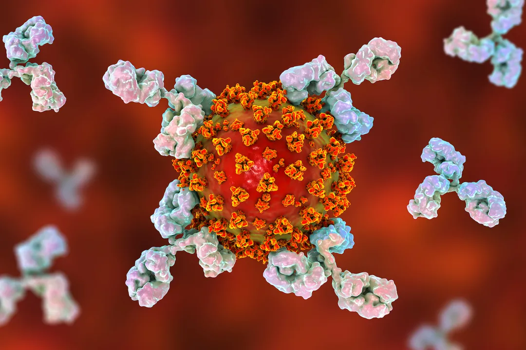  Early tests show Covid antibody drug by GSK effective against Omicron: Report