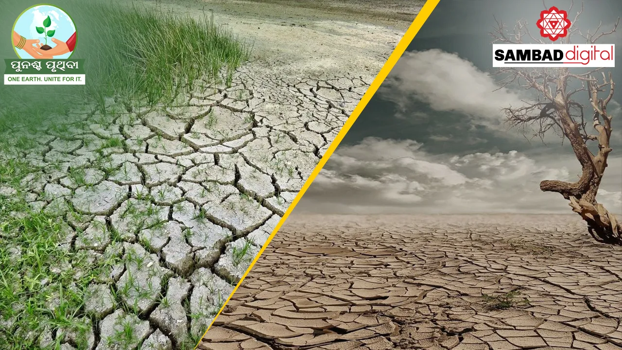 Odisha witnesses sixth worst rain deficit situation in over a century