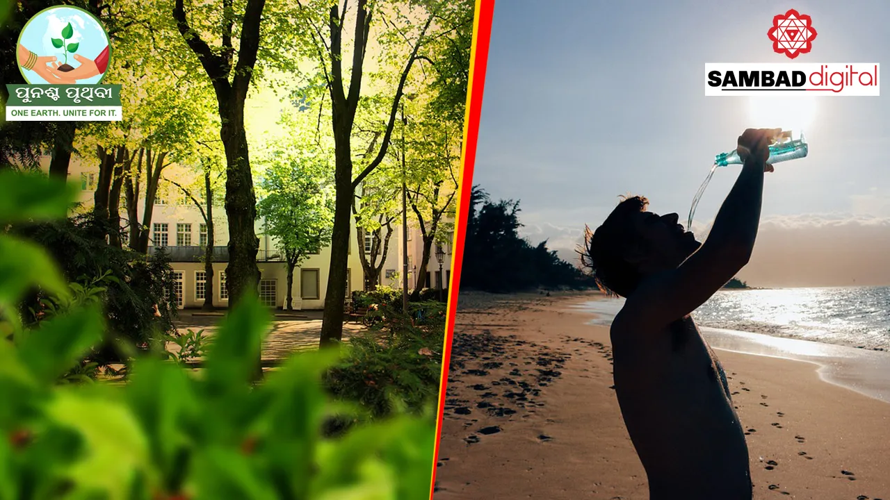  Urban Forests, a solution to sultry days!