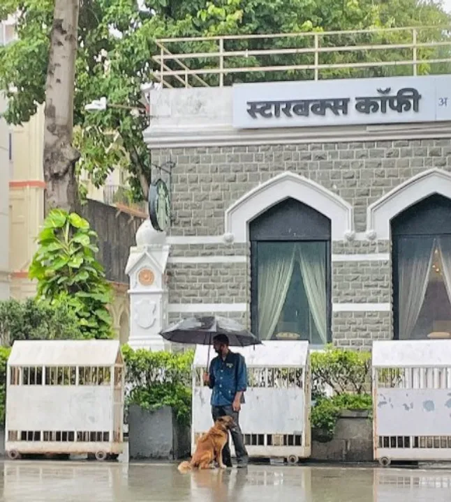  Photo of Hotel Taj staff sharing umbrella with stray dog wins internet