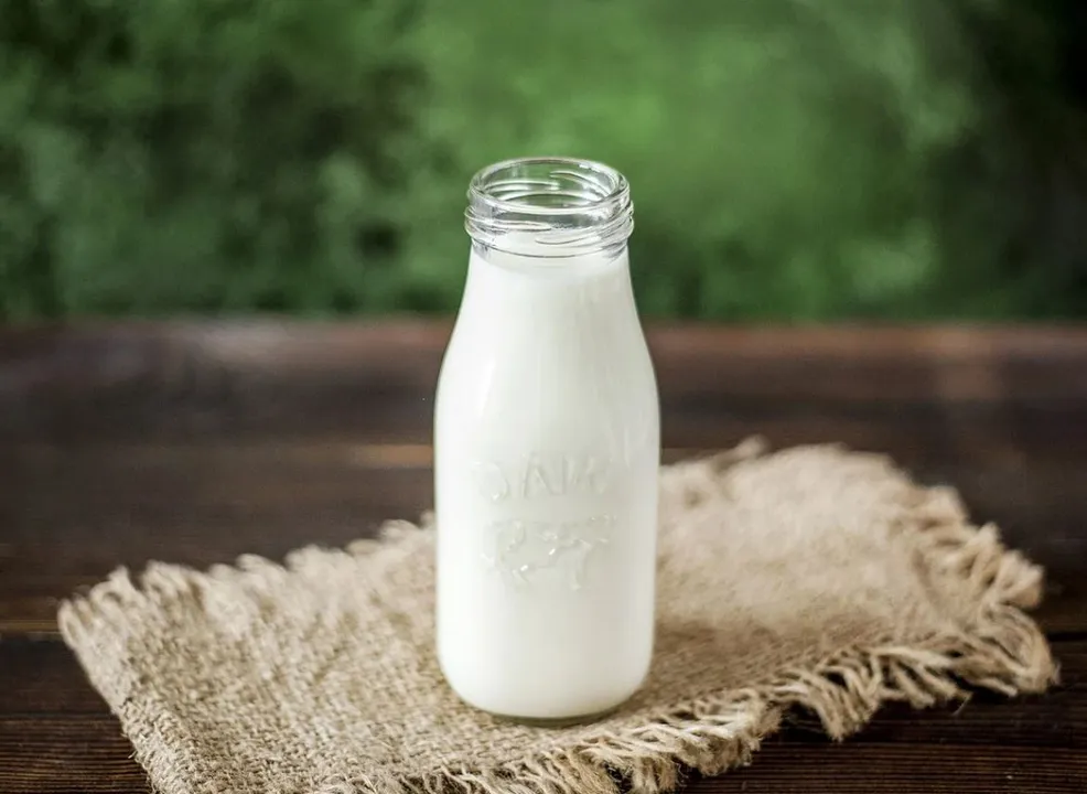 From anti-ageing to healing, is donkey's milk good for your skin?