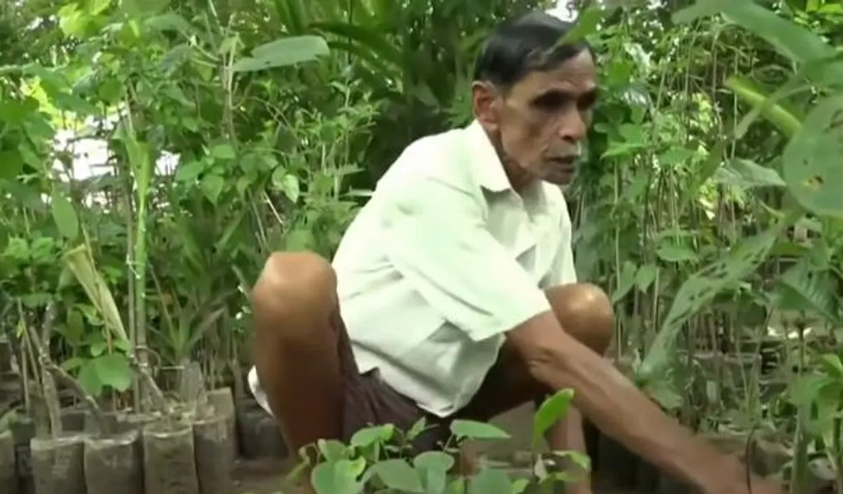 Watch: PM Modi praises Odisha's Patayat Sahu in Mann Ki Baat; Find out why
