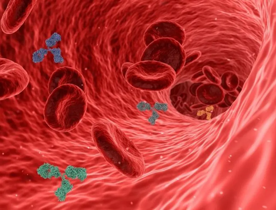 Odisha sero survey report: 73% people in 12 dists have developed antibodies against COVID-19