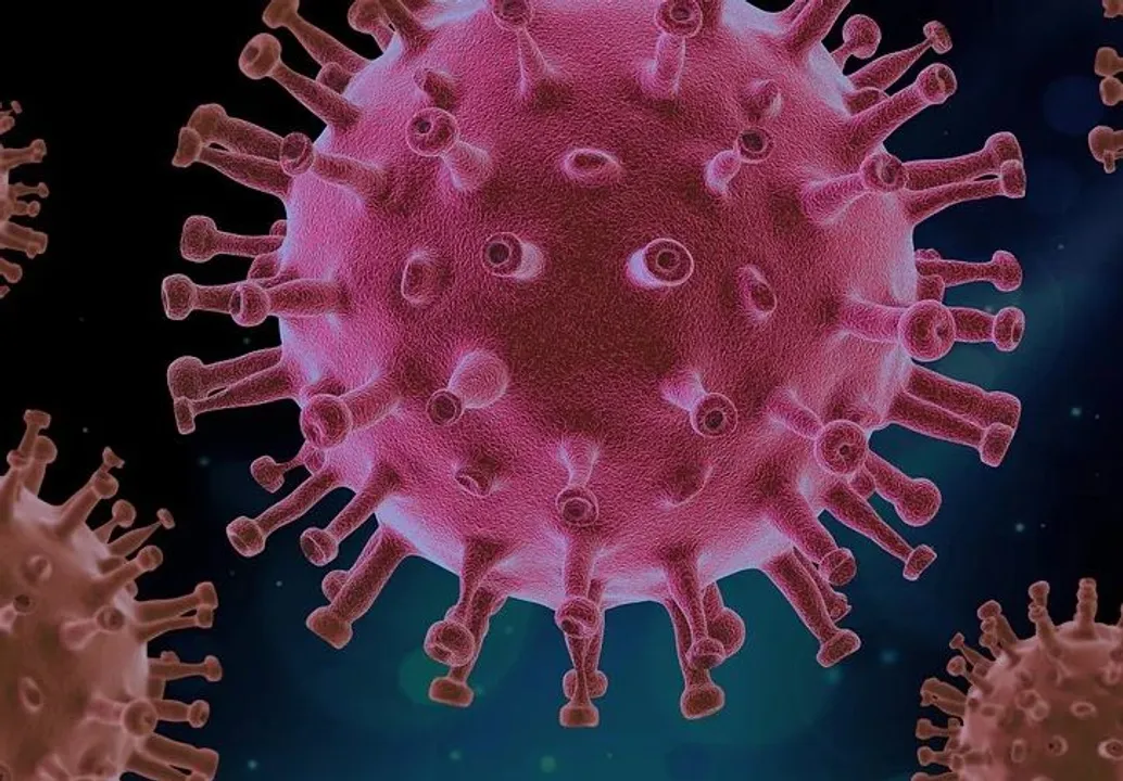 Covishield-like vaccine may help fight Nipah virus