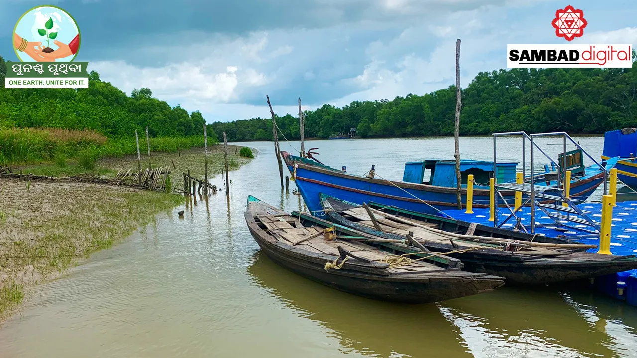  Conservation of mangroves in Odisha’s Bhitarkanika to generate employment for locals
