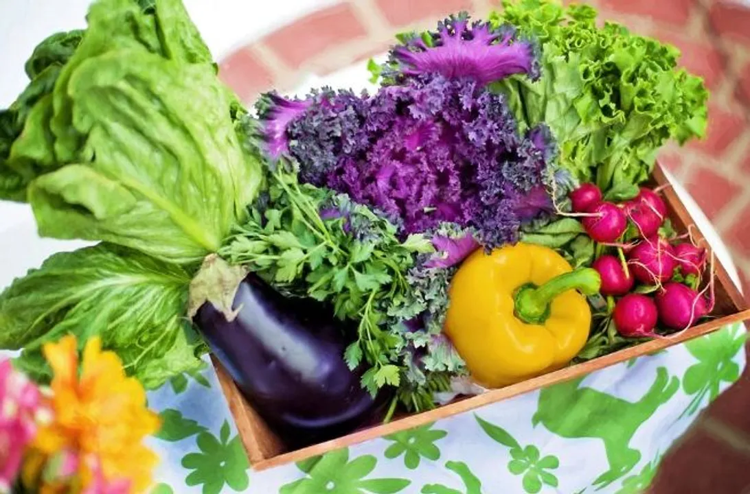  World Vegan Day 2021: History, Significance and Why it is Celebrated on Nov 1