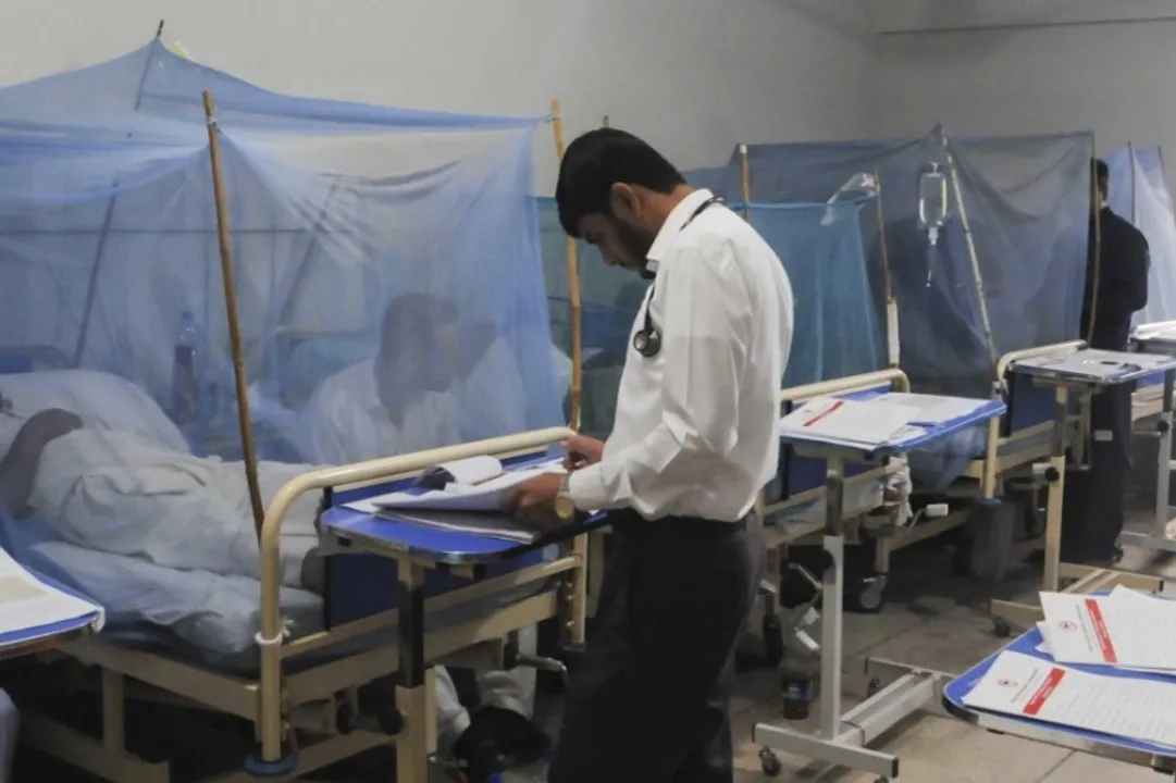  Pakistani hospitals run out of beds as dengue cases surge