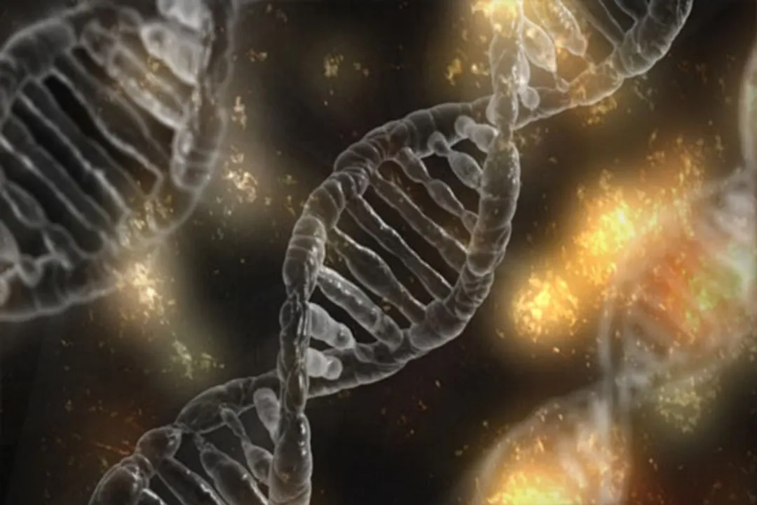  Alzheimer's disease, Covid-19 share genetic risk factor
