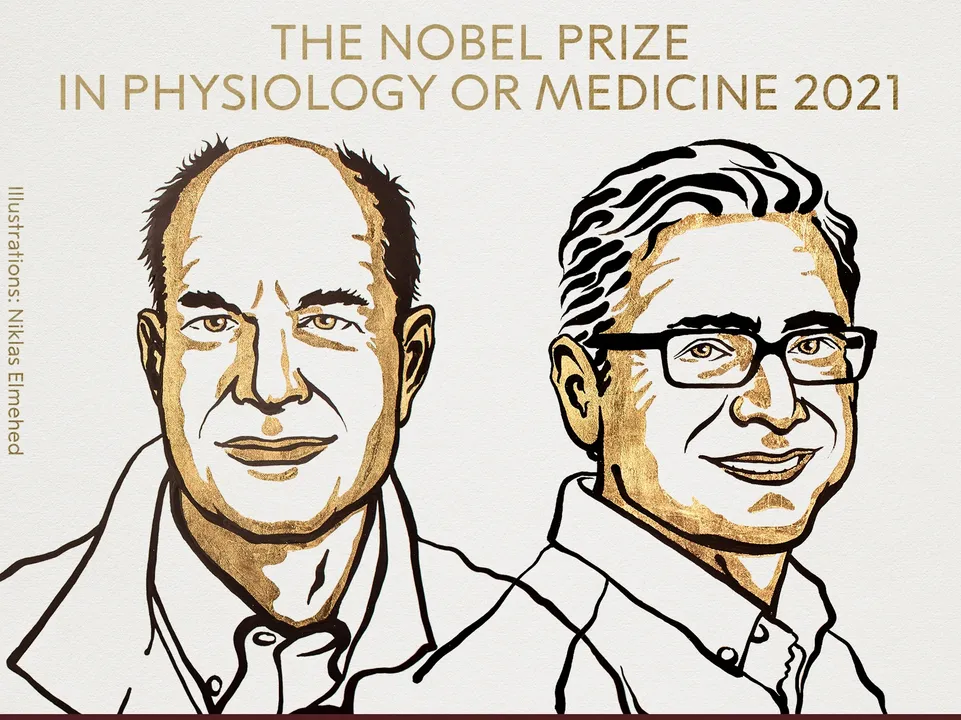  David Julius, Ardem Patapoutian get Nobel Prize 2021 in Medicine