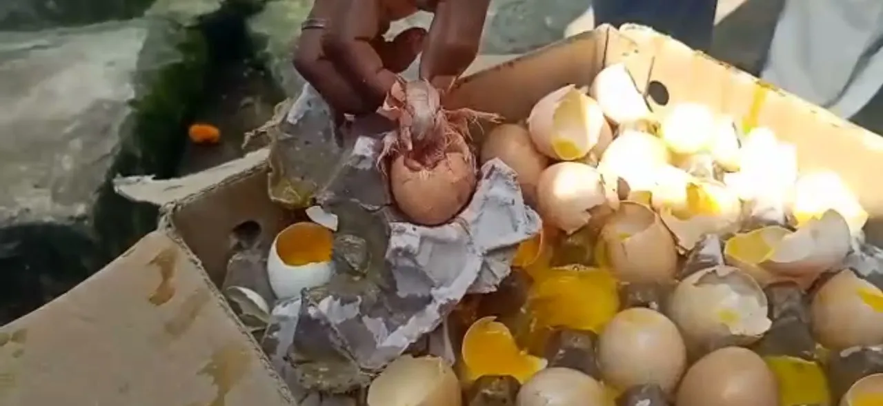  Rotten eggs for use in bakery units in Cuttack seized