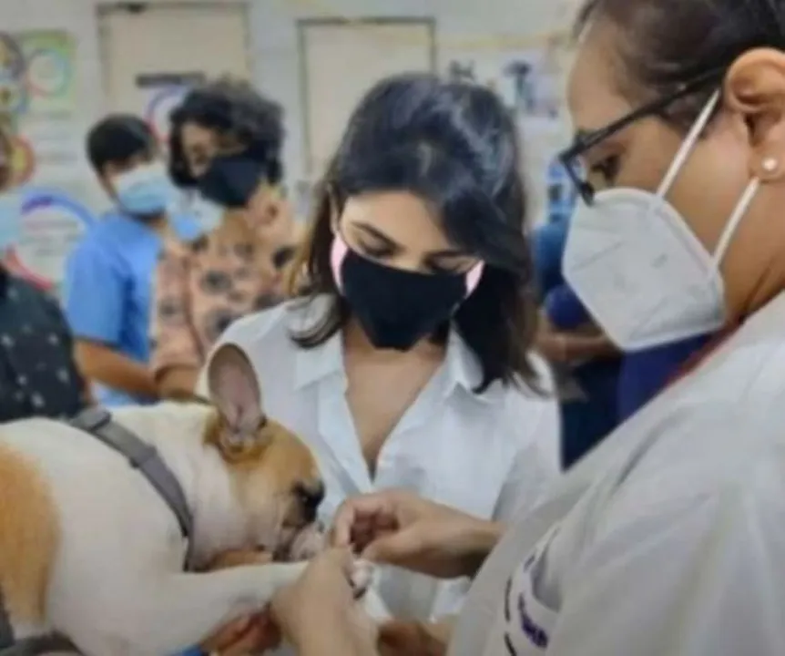  Samantha along with pets Hash and Saasha seen in vet's clinic post divorce