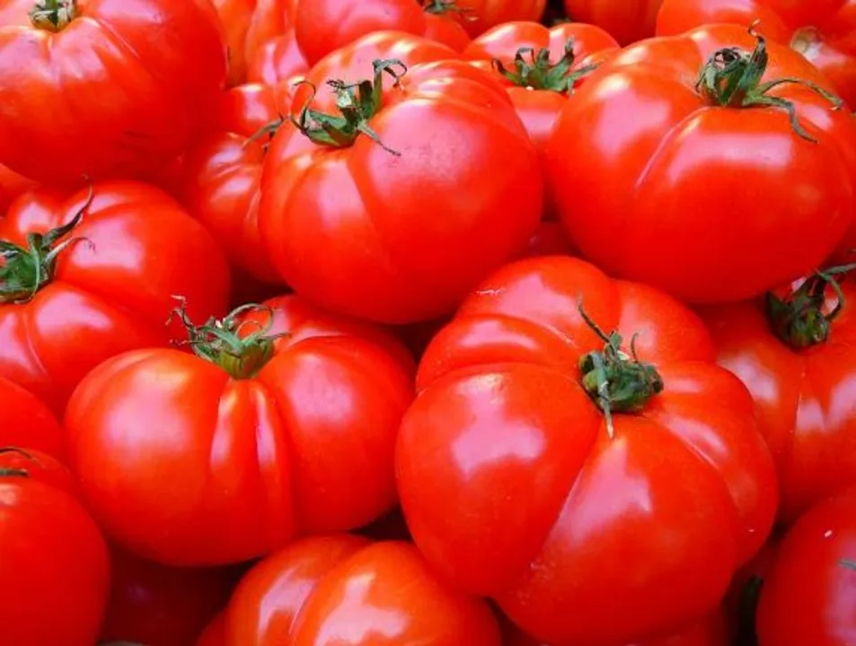  Tomato price in Bengaluru rises from Rs 10 to Rs 60 per kg; Here's the reason