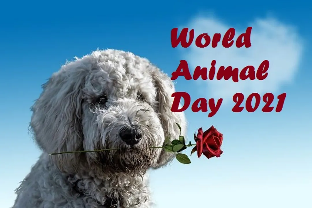  World Animal Day Theme 2021, Quotes, Wishes, Messages, WhatsApp status, History, Significance