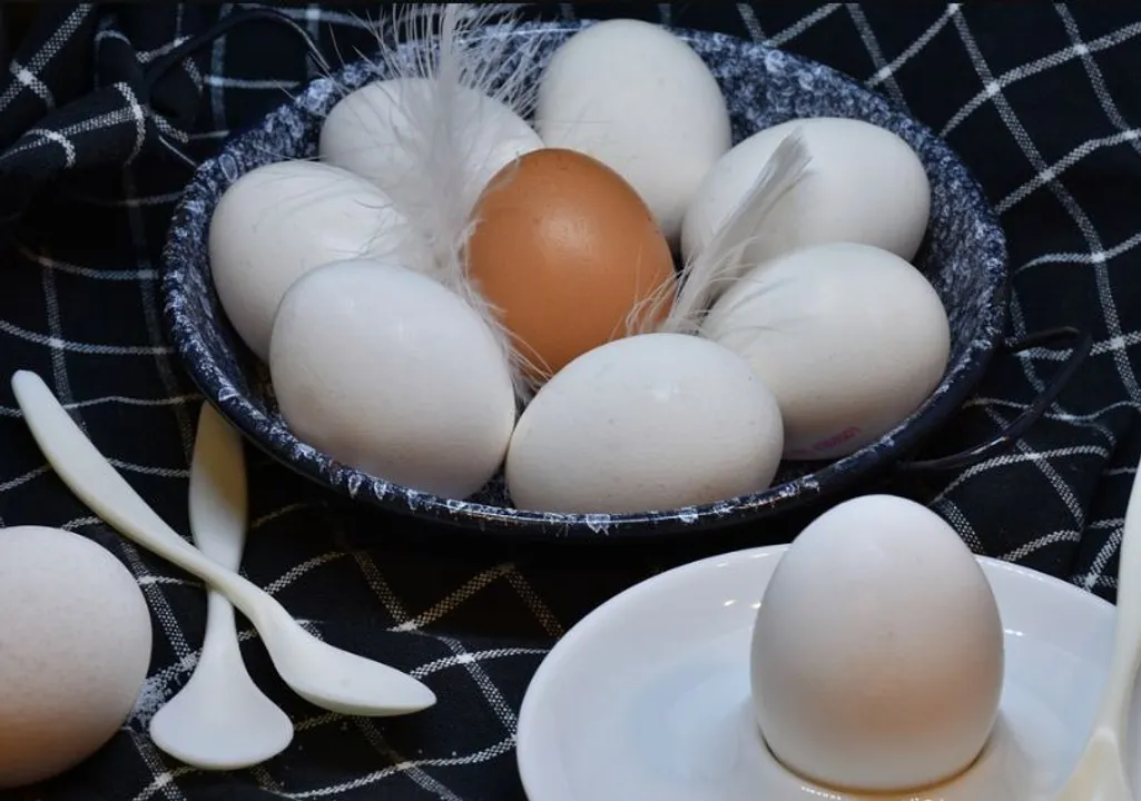  World Egg Day Quotes, Wishes, Messages, WhatsApp status, Importance