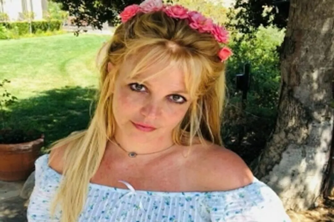  What could be expected from Britney Spears' pivotal court date