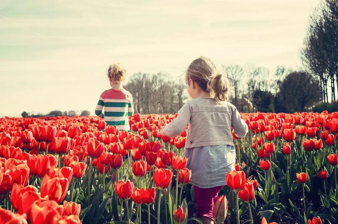  Happy World Children’s Day 2021 Wishes, Quotes, Messages to greet on the occasion