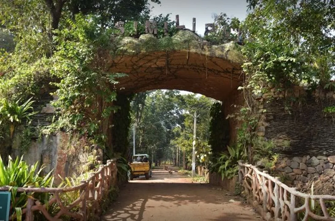  Similipal National Park in Odisha reopens for tourists