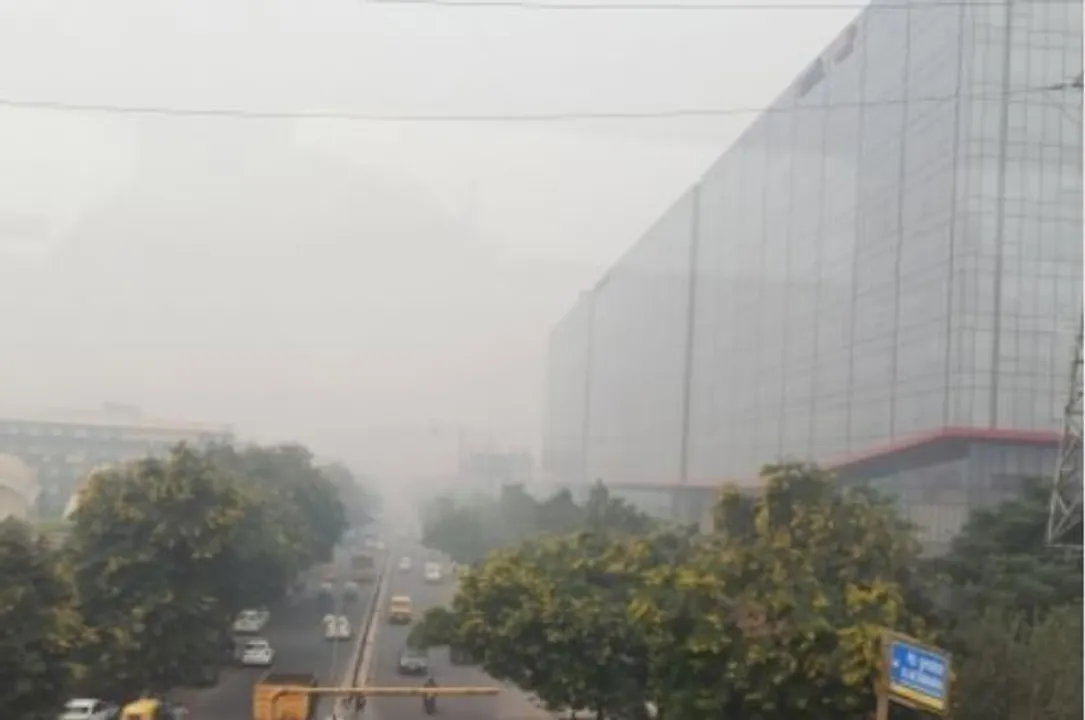  Study shows air pollutants influence pollen concentration
