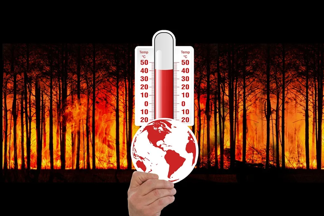  Forest Fire Climate Change Forest Fire Thermometer 