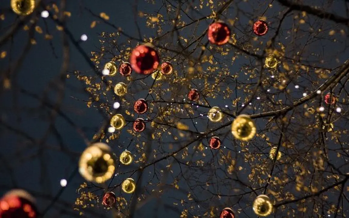  December 2021: List of Holidays, Religious Occasions, Important Days