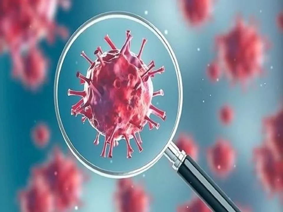  coronavirus. 