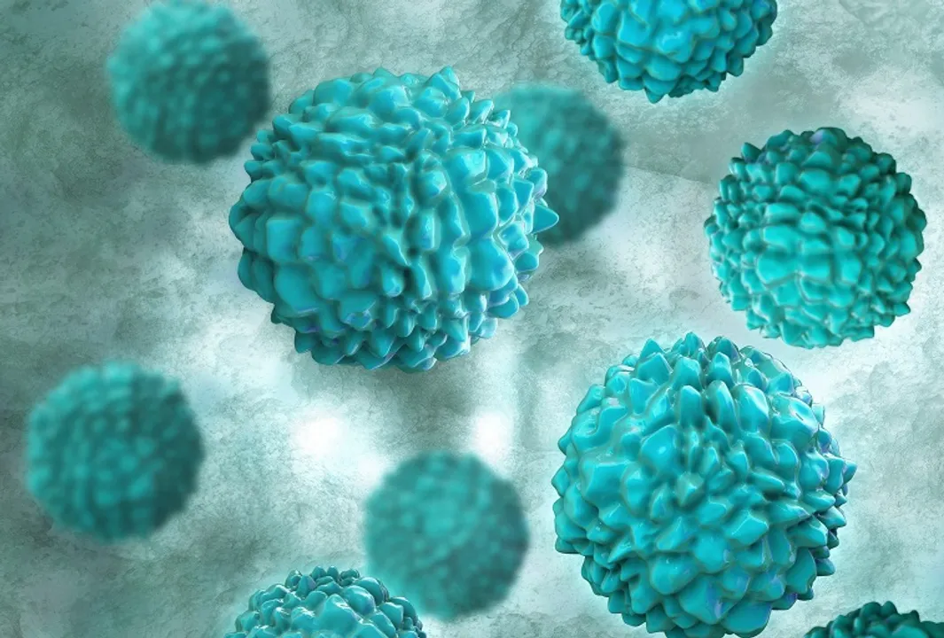  Karnataka on high alert after detection of 13 fresh norovirus cases in Kerala