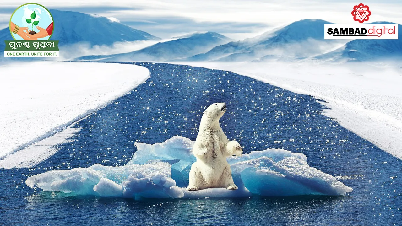  Sea ice loss another wake-up call on climate change