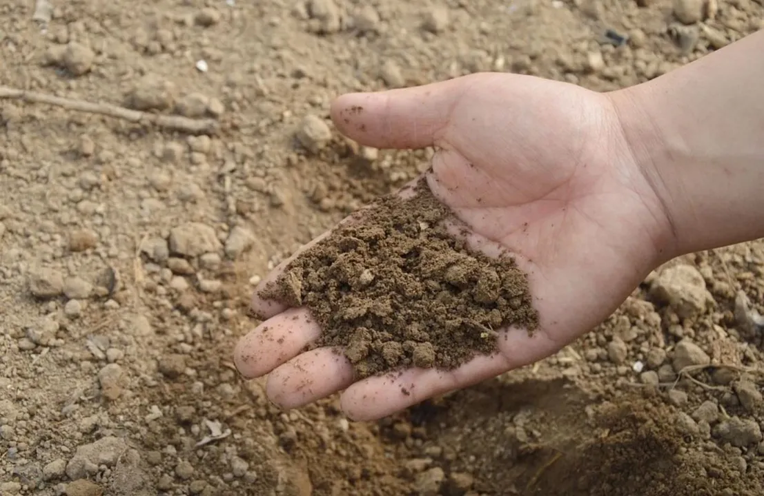  World Soil Day 2021 Theme, History and Why it is Celebrated