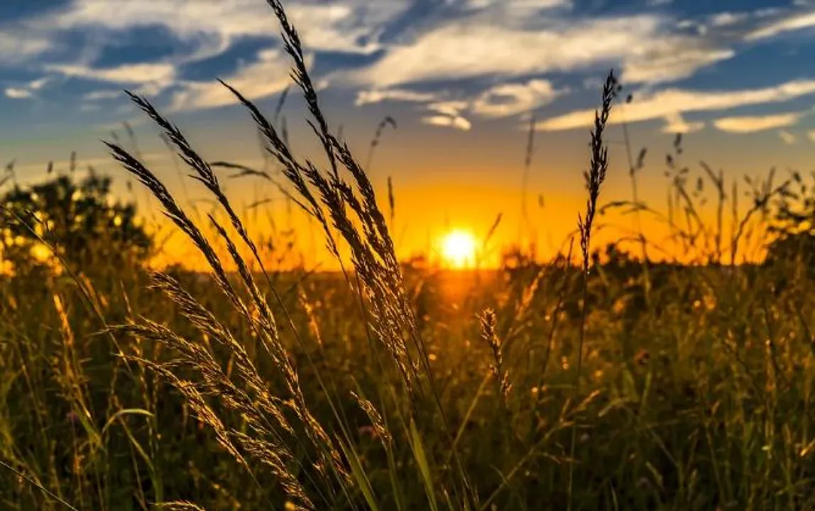  Happy Farmers Day 2021 Wishes, Messages, Greetings, WhatsApp status to share