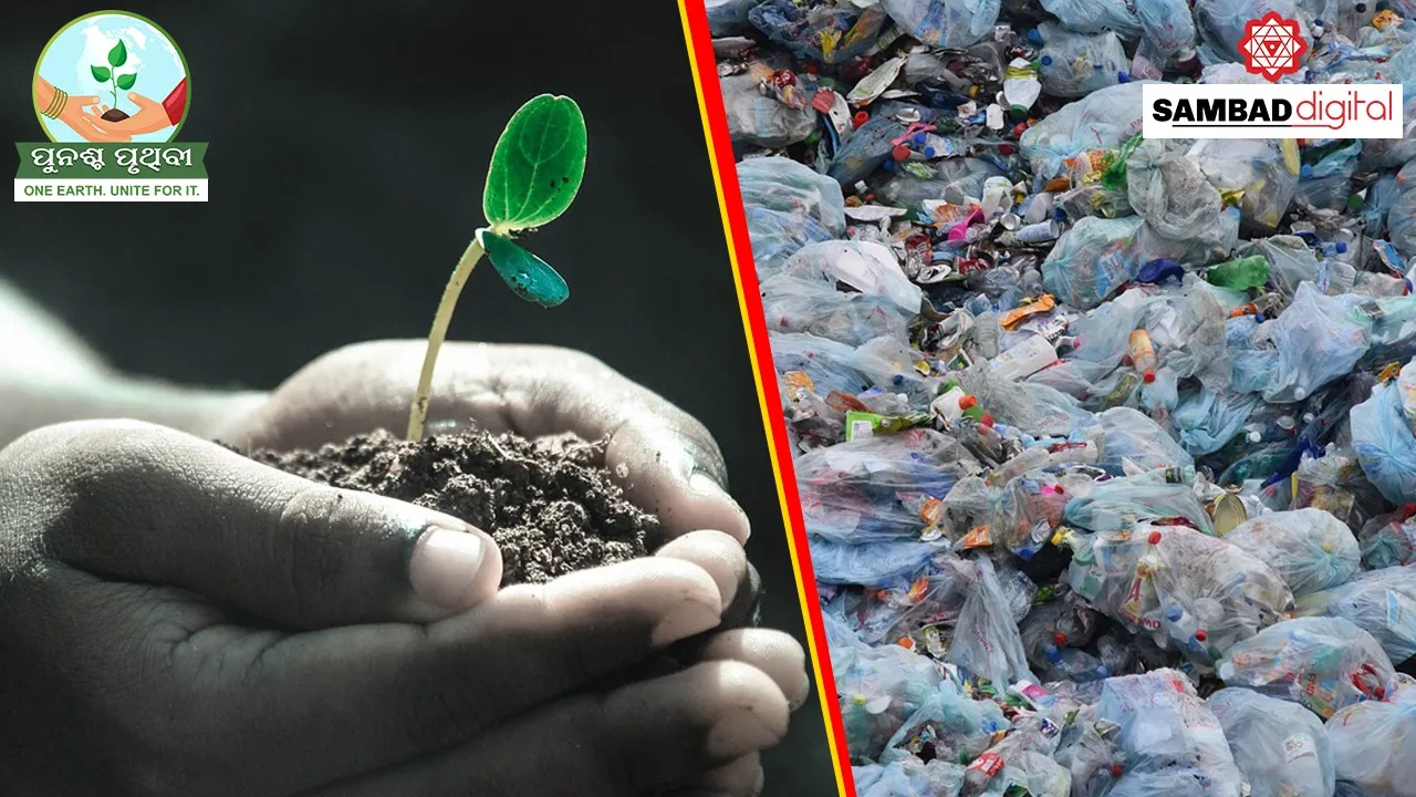  How tiny plastic poses bigger threat to animal kingdom