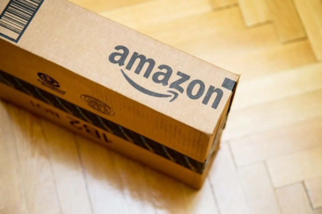  Amazon.(photo:https://pixabay.com/) 