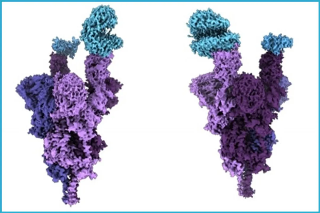  1st molecular structure of Omicron protein created by Indian-origin scientist 