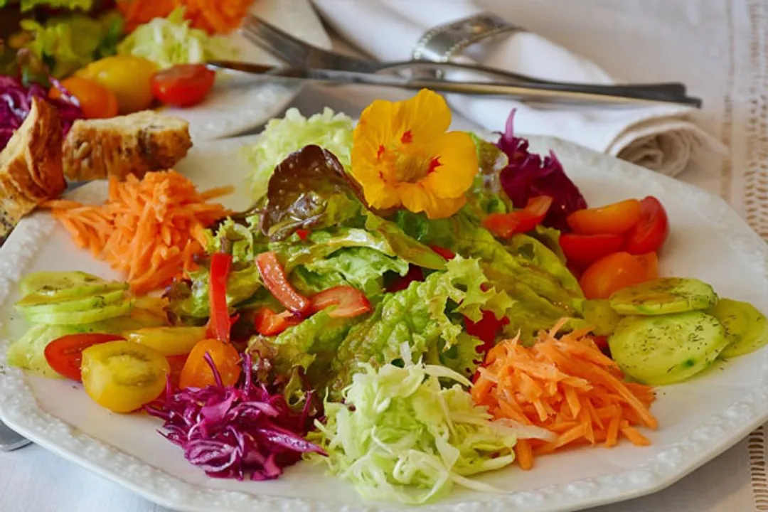  Is veganism the key to a greener tomorrow?